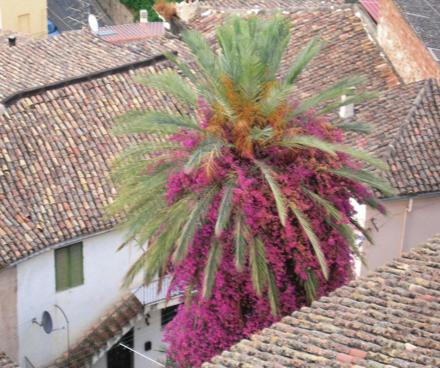 Relais Hotel Palazzo Castriota Corigliano Calabro Esterno foto